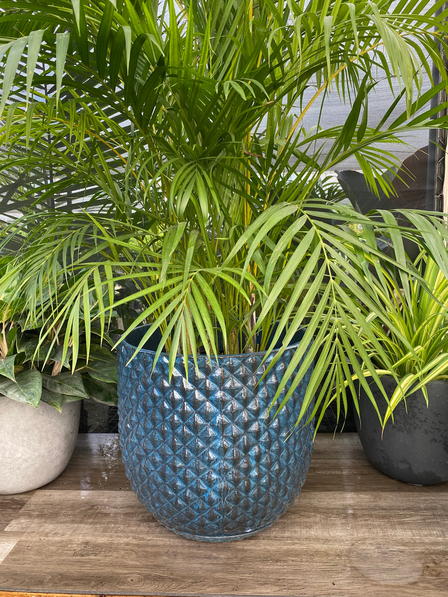 Ceramic Planter Blue, With Diamond Pattern