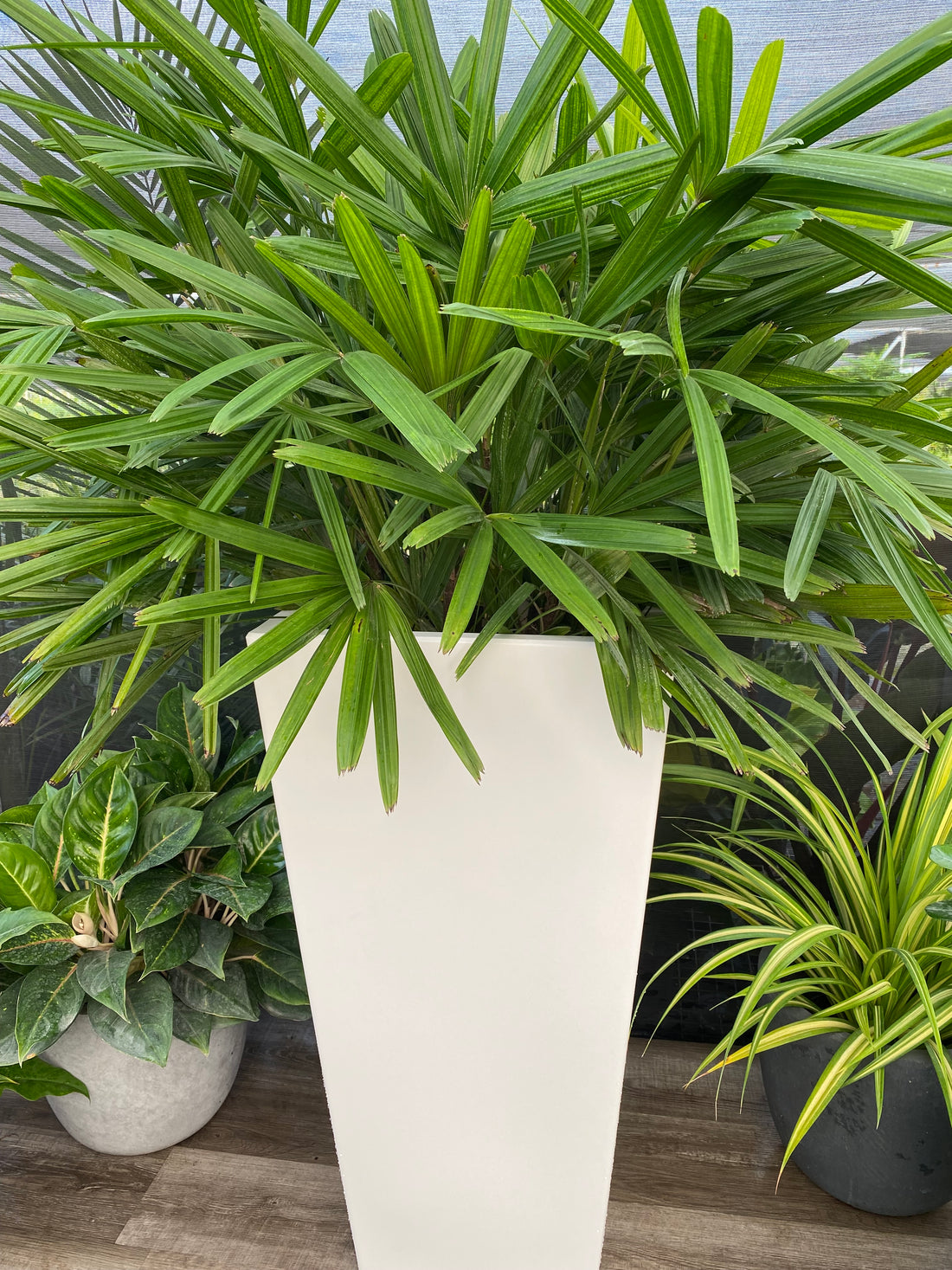 Tall Modern Planter Pot, Tapered Square Design