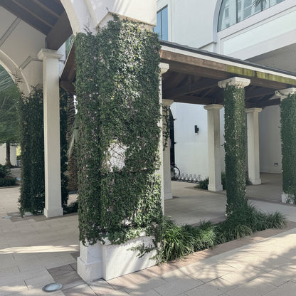 A covered walkway with white columns wrapped in dense ficus creeping fig, set in front of a modern white building with large windows.