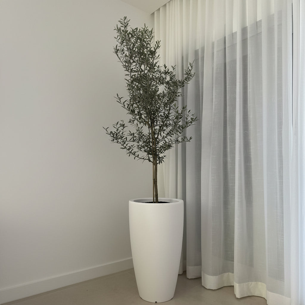 Olive Tree in Modern Deco Planter Potted plant in a room