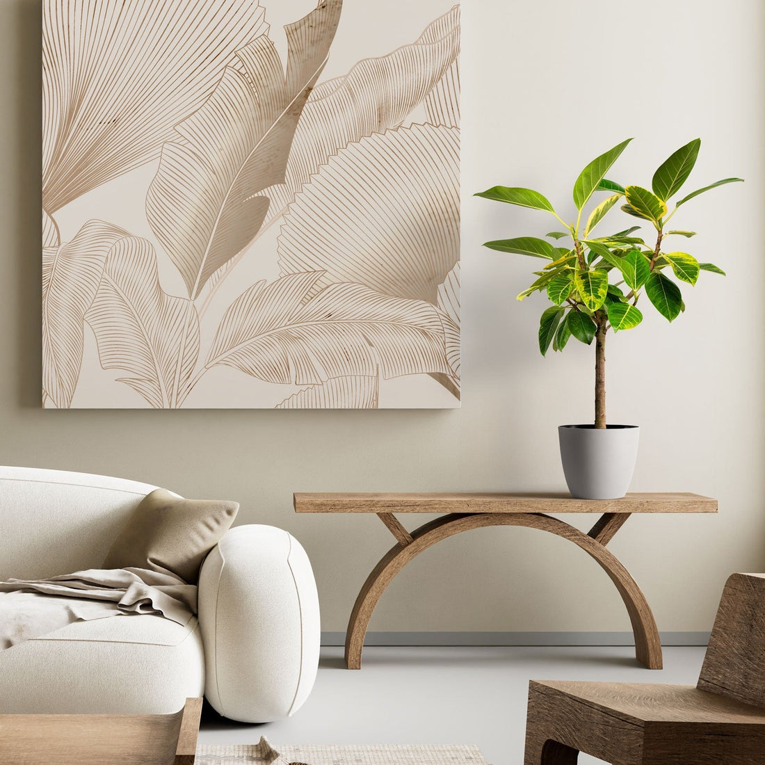 Ficus Yellow Gem modern living room with a white sofa, wooden coffee table, and decorative plant.