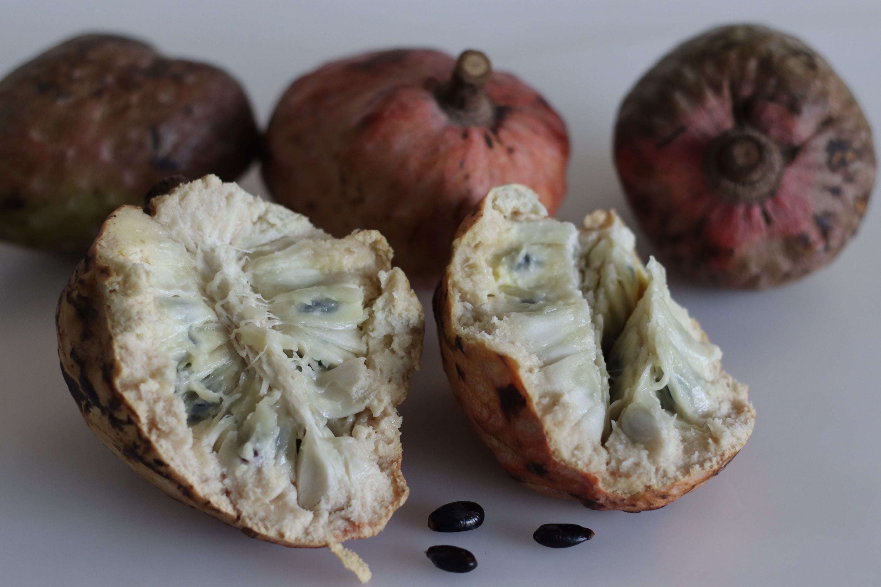 Red Custard Apple, Annona Reticulata Cherimoya Eureka Farms