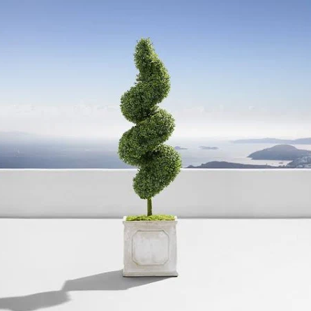 Corkscrew topiary, Helical topiary, spiral topiary tree, spiral topiary, potted spiral topiary