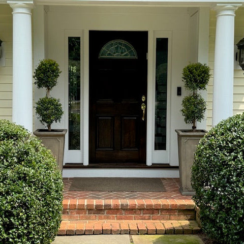 Eugenia Topiary 2 Ball Front door of a house with decorative columns and potted plants.