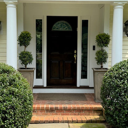 Eugenia Topiary 2 Ball Front door of a house with decorative columns and potted plants.
