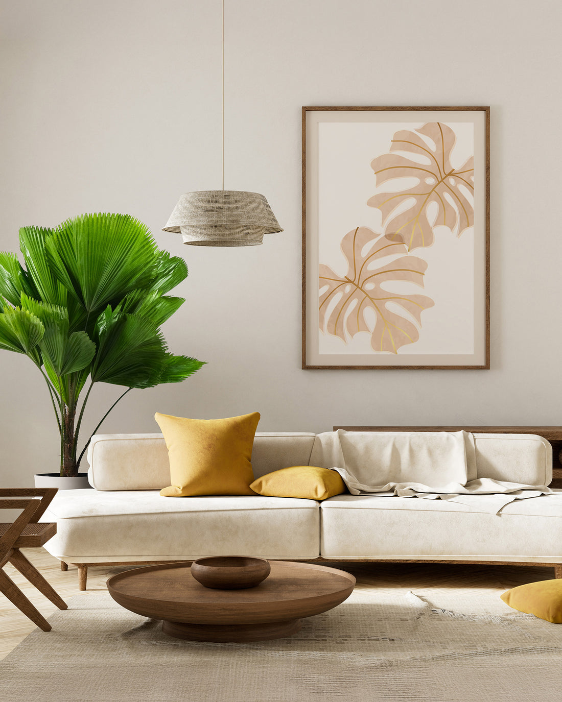 Licuala Fan Palm displayed in a modern living room beside a cream-colored sofa, featuring large pleated circular green leaves and tropical foliage in a decorative planter.
